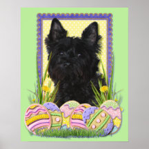 Easter Egg Cookies - Cairn Terrier Posters