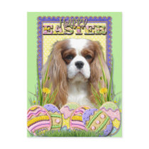 Easter Egg Cookies - Cavalier - Blenheim Post Cards
