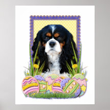 Easter Egg Cookies - Cavalier - Tri-colour Print