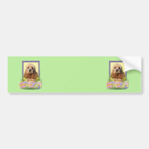 Easter Egg Cookies - Cocker Spaniel Bumper Sticker