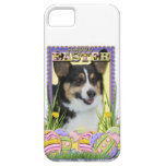 Easter Egg Cookies - Corgi