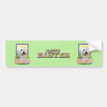 Easter Egg Cookies - Coton de Tulear Bumper Sticker