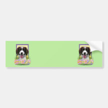 Easter Egg Cookies - English Springer Spaniel Bumper Sticker