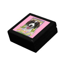 Easter Egg Cookies - English Springer Spaniel Keepsake Box