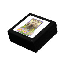 Easter Egg Cookies - GoldenDoodle Gift Box