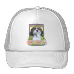 Easter Egg Cookies - Havanese Mesh Hats
