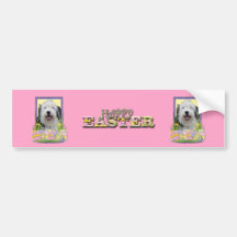 Easter Egg Cookies - Old English Sheepdog Bumper Stickers