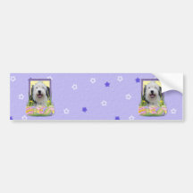 Easter Egg Cookies - Old English Sheepdog Bumper Stickers