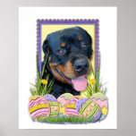 Easter Egg Cookies - Rottweiler - Harley Posters