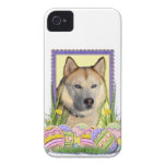 Easter Egg Cookies - Siberian Husky Copper iPhone 4 Cases