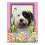 Easter Egg Cookies - Tibetan Terrier Postcards