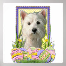 Easter Egg Cookies - West Highland Terrier Poster