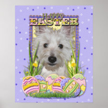 Easter Egg Cookies - West Highland Terrier - Tank Poster