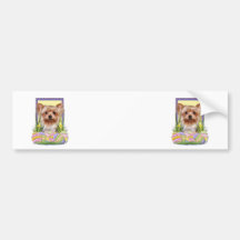 Easter Egg Cookies - Yorkshire Terrier Bumper Stickers