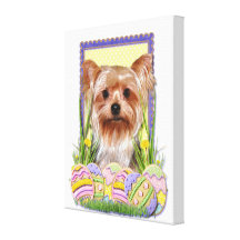 Easter Egg Cookies - Yorkshire Terrier Stretched Canvas Prints