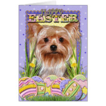 Easter Egg Cookies - Yorkshire Terrier Card