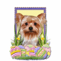 Easter Egg Cookies - Yorkshire Terrier Acrylic Cut Out
