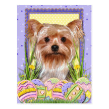 Easter Egg Cookies - Yorkshire Terrier Postcard