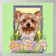 Easter Egg Cookies - Yorkshire Terrier Posters