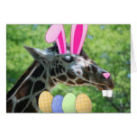 Easter Giraffe Cards