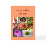 Easter Greeting Card