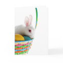 Easter Greeting Card