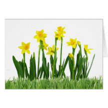 Easter Greeting Card