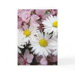 EASTER Greeting Cards 32 Daisies Flower Blossoms