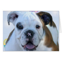 Easter greetings bulldog card