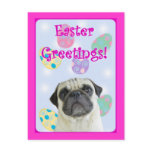 Easter Greetings pug postcards