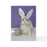 Easter Kitty cards