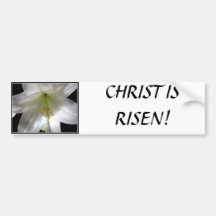 Easter Lily Bumper Sticker