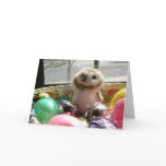 Easter Owlet cards
