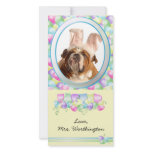 Easter Photo Cards for your pets! photo cards