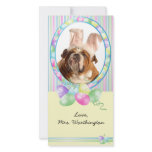 Easter Photo Cards for your pets! photo cards