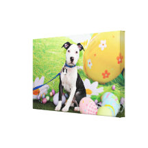 Easter - Pitbull  - Gunner Canvas Print