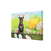 Easter - Pitbull  - Gunner Stretched Canvas Prints