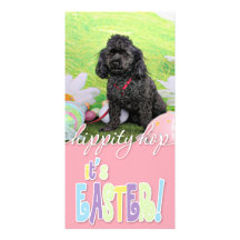 Easter - Poodle - Junior Photo Cards
