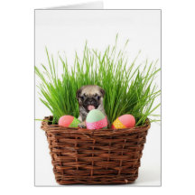 Easter pug puppy greeting card