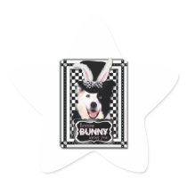 Easter - Some Bunny Loves You - Border Collie Star Stickers