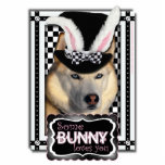 Easter - Some Bunny Loves You - Husky Cut Out