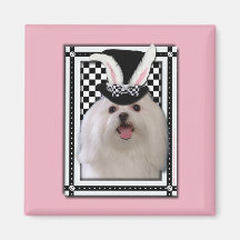 Easter - Some Bunny Loves You - Maltese Refrigerator Magnets