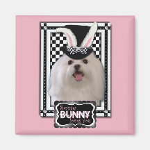 Easter - Some Bunny Loves You - Maltese Magnets
