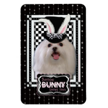 Easter - Some Bunny Loves You - Maltese Rectangle Magnets