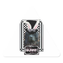 Easter - Some Bunny Loves You - Newfoundland Triangle Stickers