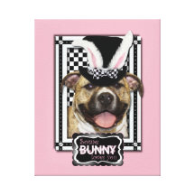 Easter - Some Bunny Loves You - Pitbull Stretched Canvas Print