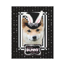Easter - Some Bunny Loves You - Shiba Inu Canvas Print