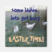 EASTER TIME CHICKENS magnet