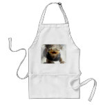 Eastern Bearded Dragon - Pogona barbata aprons