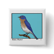 EASTERN BLUEBIRD BUTTONS
